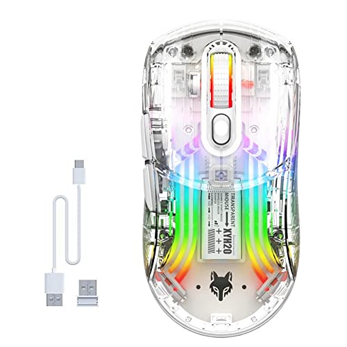 YCTech Kabellose Bluetooth-Gaming-Maus, Transparente RGB-Beleuchtung, 3 Modi Verbindung und 5 einstellbare DPI, für PC Mac Computer MacBook Notebook mit Nano-Empfänger von YCTech