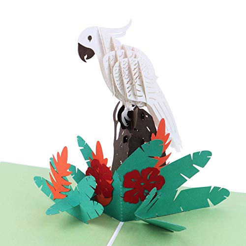 3D-Karte Papagei Up Papagei Up Papiergeschnittene Vögel Karten Valentinstag Jahrestag von YCYUYK