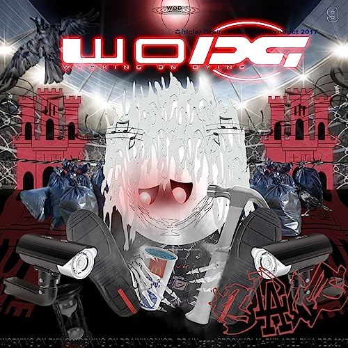 Working on Dying [Vinyl LP] von AWAL-YEAR0001