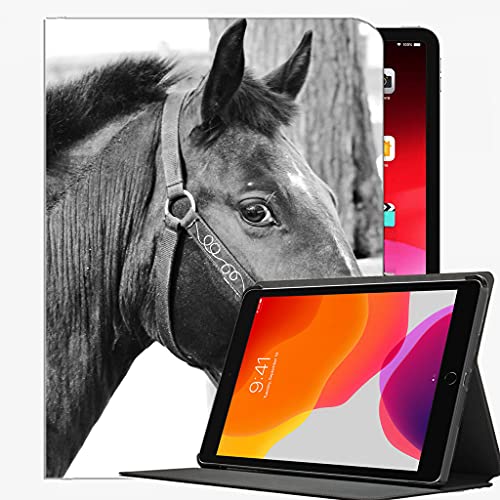 Fall für iPad (9.7-Zoll, 2018/2017 Modell, 6./5. Generation), Pferd Mündige Züge Augen Black Case Slim Shell Cover für iPad 9,7 Zoll von YENDOSTEEN