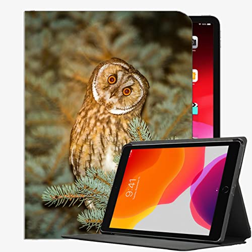 Für iPad Air2 9,7-Zoll-Fall-Abdeckung, Owl Predator Spruce Nacht Case Slim Shell-Abdeckung für ipad Air2 9,7 Zoll von YENDOSTEEN