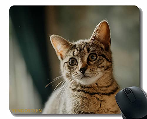 Mauspad Anti-Rutsch, Katze Kätzchen-Blick 177552 rutschfeste Gummi-Basis Mousepad von YENDOSTEEN