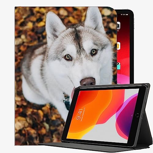 YENDOSTEEN Hülle Kompatibel iPad Air 2,Schutzhülle mit Ständer,Tiere Hund Siberian Husky 03 Automatischem Schlaf/Aufwach von YENDOSTEEN