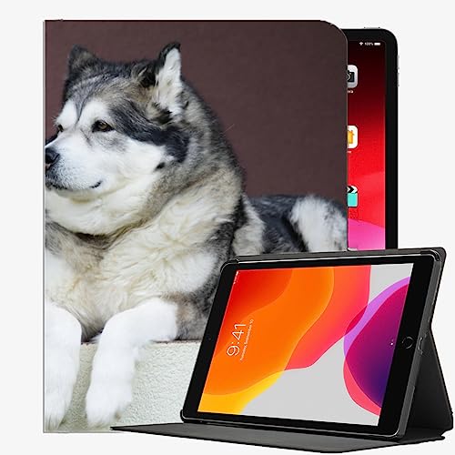 YENDOSTEEN Hülle für iPad 10.2 (9. Generation/8. Generation/7. Generation) mit stifthalter Auto Schlaf/Wach,Alaskan Malamute Malamute-Hund Automatischem Schlaf/Aufwach von YENDOSTEEN