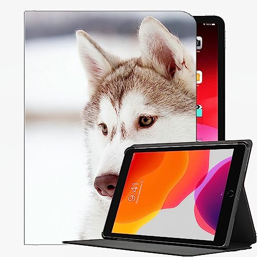 YENDOSTEEN Hülle für iPad 9/8/7 Generation/iPad 10.2 Hülle 2021 mit Stifthalter, Tiere Sibirischer Husky-Hund Klappständer Schutzhülle mit Automatischem Schlaf/Aufwach von YENDOSTEEN