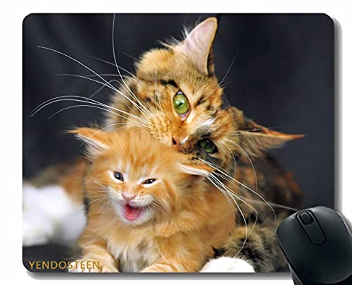 YENDOSTEEN Mauspad mit genähter Kante, Katze Maine Coon Kätzchen beschmelzt 101175 Mauspads von YENDOSTEEN