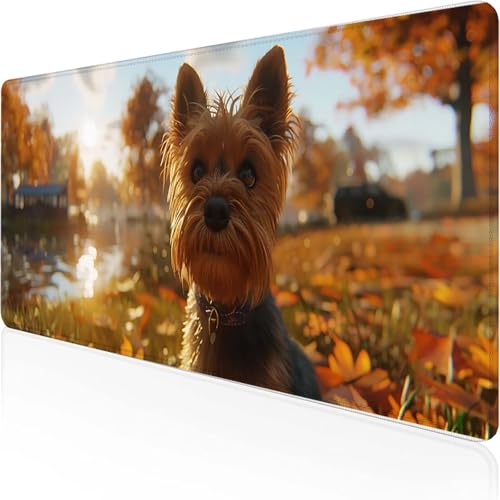 Hund Mauspad 800 x 300 x 3 mm, Gaming Mauspad braun Desk Mat with Stitched Edges Wassxerdicht Non-Slip Rubber Base Desk Mat für Büro Gaming Verbessert Präzision und Geschwindigkeit, Geschenke F-C Hund Mauspad 800 x 300 x 3 mm, Gaming Mauspad braun Desk Mat with Stitched Edges Wassxerdicht Non-Slip Rubber Base Desk Mat für Büro Gaming Verbessert Präzision und Geschwindigkeit, Geschenke F-C von YEYUMEOZ