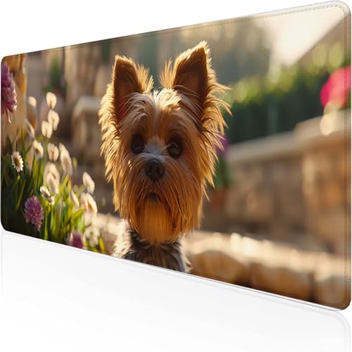 Sommer Mauspad 600x300 mm, Gaming Mauspad Rosa Desk Mat with Stitched Edges Wassxerdicht Non-Slip Rubber Base Desk Mat für Büro Gaming Zubehör Verbessert Präzision und Geschwindigkeit, Geschenke P-0 Sommer Mauspad 600x300 mm, Gaming Mauspad Rosa Desk Mat with Stitched Edges Wassxerdicht Non-Slip Rubber Base Desk Mat für Büro Gaming Zubehör Verbessert Präzision und Geschwindigkeit, Geschenke P-0 von YEYUMEOZ