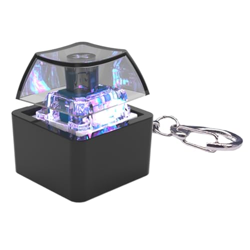 YIGZYCN LED-beleuchtete Tastatur-Klicks, Schlüsselanhänger, Tastenkappen-Tester für Erwachsene, Tastaturklicks, LED-Licht, Schlüsselanhänger-Spielzeug YIGZYCN LED-beleuchtete Tastatur-Klicks, Schlüsselanhänger, Tastenkappen-Tester für Erwachsene, Tastaturklicks, LED-Licht, Schlüsselanhänger-Spielzeug von YIGZYCN