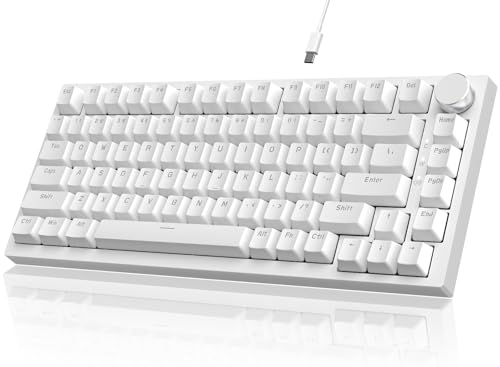 YINDIAO Ajazz AK820 Mechanische Tastatur mit Knopf,75% ANSI-Layout,81 Tasten,Kabelgebundene Gaming-Tastatur,Verbesserte Dichtungsmontage,Hot-Swap-Blauer Schalter,Eisblaues Licht,für PC,MAC (weiß) von YINDIAO