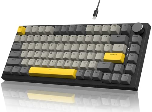 YINDIAO Ajazz AK820 Mechanische Tastatur mit Knopf,75% ANSI-Layout,82 Tasten,Kabelgebundene Gaming-Tastatur,Verbesserte Dichtungsmontage,Hot Swappable,Linearer Schalter,RGB-Licht,für PC,MAC (Grau) von YINDIAO