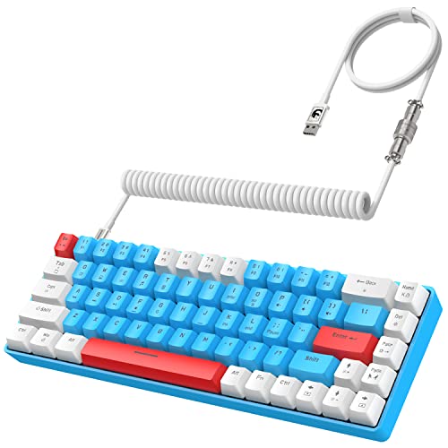 YINDIAO T8 60% Gaming-Tastatur,68 Tasten,Kompakte,Kabelgebundene,Mechanische Mini-Tastatur mit 18 Chroma-RGB-Hintergrundbeleuchtung,Blauer Schalter,USB-C-Spiraltastaturkabel,für PC,PS4-Blau von YINDIAO