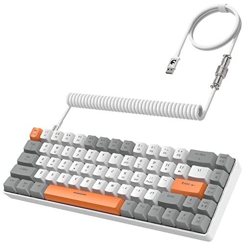 YINDIAO T8 60% Gaming-Tastatur,68 Tasten,Kompakte,Kabelgebundene,Mechanische Mini-Tastatur mit 18 Chroma-RGB-Hintergrundbeleuchtung,Roter Schalter,USB-C-Spiraltastaturkabel,für PC,MAC-Hellgrau von YINDIAO