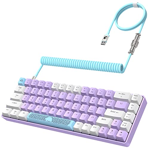 YINDIAO T8 60% Mechanische Gaming Tastatur,68 Tasten TKL Kompakt Layout,Kabelgebundene Mini Tastatur,18 RGB Beleuchtung,Blauer Schalter,Anti-Ghosting,Pro USB-C Spiralkabel,für PC,MAC,PS4,XBOX-Lavendel von YINDIAO