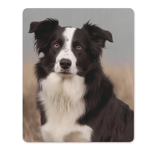 Quadratische, wasserdichte, rutschfeste Gummiunterseite, bequeme, tragbare Mauspads, Border Collie, Mauspad für Büro, Laptop Quadratische, wasserdichte, rutschfeste Gummiunterseite, bequeme, tragbare Mauspads, Border Collie, Mauspad für Büro, Laptop von YKLBV