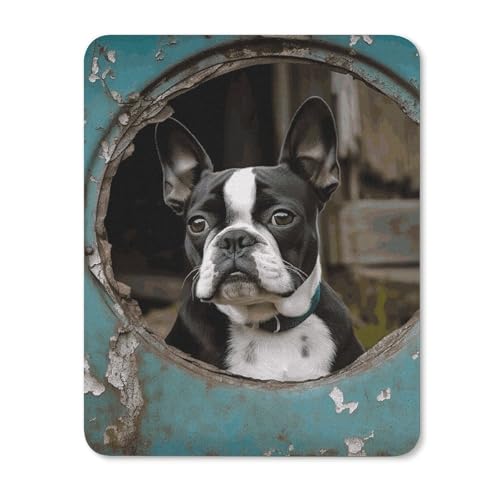 Quadratische, wasserdichte, rutschfeste Gummiunterseite, bequeme, tragbare Mauspads, Boston Terrier, Mauspad für Büro, Laptop Quadratische, wasserdichte, rutschfeste Gummiunterseite, bequeme, tragbare Mauspads, Boston Terrier, Mauspad für Büro, Laptop von YKLBV