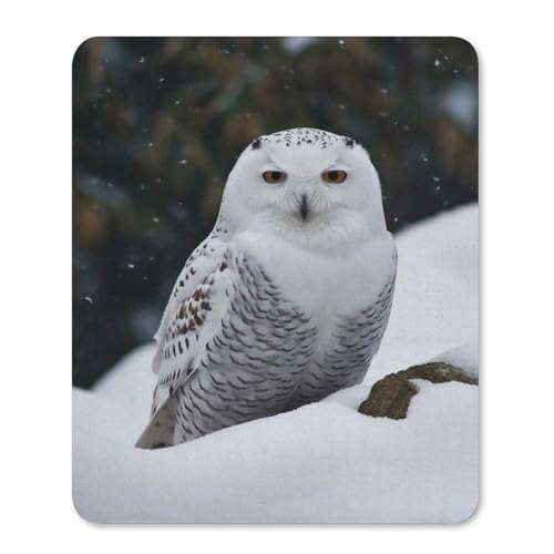 Quadratische, wasserdichte, rutschfeste Gummiunterseite, bequeme, tragbare Mauspads, Schnee-Eule, Mauspad für Büro, Laptop Quadratische, wasserdichte, rutschfeste Gummiunterseite, bequeme, tragbare Mauspads, Schnee-Eule, Mauspad für Büro, Laptop von YKLBV