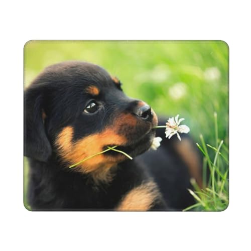 YLQHZW Tier Tier niedlicher Hund Welpe Rottweiler, Mauspad, rutschfestes Mauspad mit Gummibasis, wasserdichtes Mauspad 25 x 30 cm YLQHZW Tier Tier niedlicher Hund Welpe Rottweiler, Mauspad, rutschfestes Mauspad mit Gummibasis, wasserdichtes Mauspad 25 x 30 cm von YLQHZW
