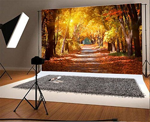 YongFoto 1,5x1m Vinyl Foto Hintergrund Herbst Wald gelbe Blätter Straße Natur Landschaft Fotografie Hintergrund für Fotoshooting Portraitfotos Party Kinder Fotostudio Requisiten von YONGFOTO