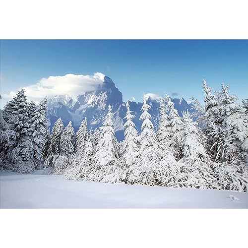 YongFoto 1,5x1m Vinyl Foto Hintergrund Winterlandschaft Schnee bedeckte Tannen Alpin Berge Weihnachten Fotografie Hintergrund f黵 Fotoshooting Fotostudio Requisiten YongFoto 1,5x1m Vinyl Foto Hintergrund Winterlandschaft Schnee bedeckte Tannen Alpin Berge Weihnachten Fotografie Hintergrund f黵 Fotoshooting Fotostudio Requisiten von YONGFOTO