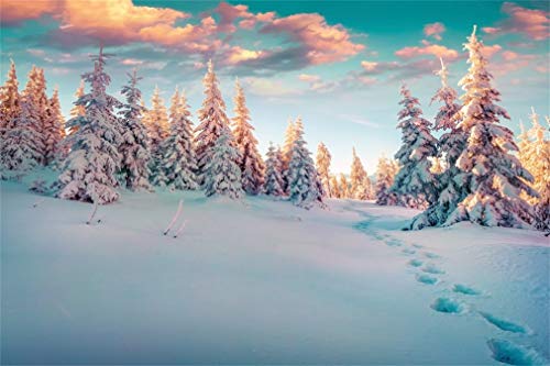 YongFoto 1,5x1m Vinyl Foto Hintergrund Winterlandschaft mit Spuren Schnee bedeckte Tannen Weihnachten Fotografie Hintergrund f黵 Fotoshooting Fotostudio Requisiten von YONGFOTO