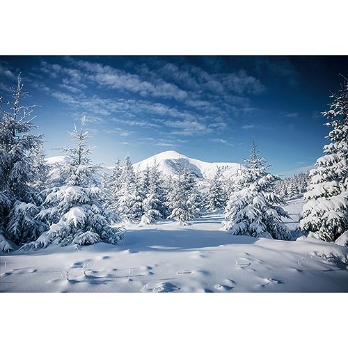 YongFoto 1,5x1m Winter Schnee Landschaft Fotografie Hintergrund Weihnachtsbaum Snowy Moutain Blauer Himmel Natur Landschaft Hintergrund Weihnachten Familie Party Portrait Foto Requisiten Vinyl YongFoto 1,5x1m Winter Schnee Landschaft Fotografie Hintergrund Weihnachtsbaum Snowy Moutain Blauer Himmel Natur Landschaft Hintergrund Weihnachten Familie Party Portrait Foto Requisiten Vinyl von YONGFOTO