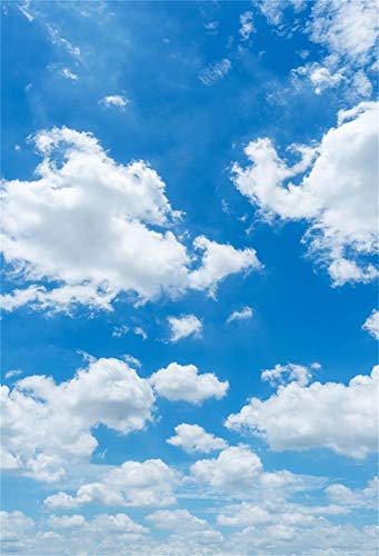 YongFoto 1x1,5m Vinyl Foto Hintergrund Blauer Himmel Weiße Wolken Sonniger Tag Fotografie Hintergrund Backdrop Fotostudio Hintergründe Requisiten von YONGFOTO