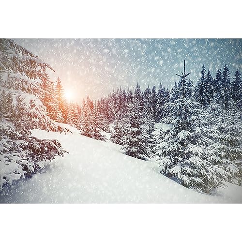 YongFoto 2,2x1,5m Foto Hintergrund Weihnachten Vinyl Winter Wunderland Schnee bedeckte B鋟me Schneeflocken Schwacher Sonnenschein Fotografie Hintergrund Foto Leinwand Kinder Fotostudio YongFoto 2,2x1,5m Foto Hintergrund Weihnachten Vinyl Winter Wunderland Schnee bedeckte B鋟me Schneeflocken Schwacher Sonnenschein Fotografie Hintergrund Foto Leinwand Kinder Fotostudio von YONGFOTO