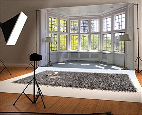 YongFoto 2,2x1,5m Vinyl Foto Hintergrund Innere Europäisch Gebäude Französische Schärpe Sonnenschein Natur Herbst Fotografie Hintergrund für Foto Portrait Party Kinder Hochzeit Foto Requisiten YongFoto 2,2x1,5m Vinyl Foto Hintergrund Innere Europäisch Gebäude Französische Schärpe Sonnenschein Natur Herbst Fotografie Hintergrund für Foto Portrait Party Kinder Hochzeit Foto Requisiten von YONGFOTO