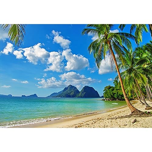 YongFoto 2,2x1,5m Vinyl Foto Hintergrund Strand Meer Küste Landschaft Blauer Himmel Weiße Wolken Palme BergFotografie Hintergrund für Fotos Fotoshooting Baby Party Banner Kinder Fotostudio Requisiten YongFoto 2,2x1,5m Vinyl Foto Hintergrund Strand Meer Küste Landschaft Blauer Himmel Weiße Wolken Palme BergFotografie Hintergrund für Fotos Fotoshooting Baby Party Banner Kinder Fotostudio Requisiten von YONGFOTO