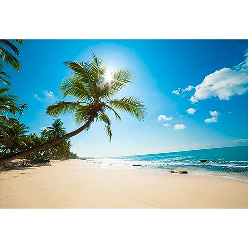 YongFoto 2,2x1,5m Vinyl Foto Hintergrund Strand Meer Küste Landschaft Blauer Himmel Weiße Wolken Palme Fotografie Hintergrund für Fotos Fotoshooting Baby Party Banner Kinder Fotostudio Requisiten YongFoto 2,2x1,5m Vinyl Foto Hintergrund Strand Meer Küste Landschaft Blauer Himmel Weiße Wolken Palme Fotografie Hintergrund für Fotos Fotoshooting Baby Party Banner Kinder Fotostudio Requisiten von YONGFOTO