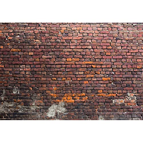 YongFoto 2,2x1,5m Vinyl Foto Hintergrund Ziegel Alt Dreckig Backstein Mauer Verwittert Fotografie Hintergrund für Fotoshooting Portraitfotos Fotografen Kinder Fotostudio Requisiten YongFoto 2,2x1,5m Vinyl Foto Hintergrund Ziegel Alt Dreckig Backstein Mauer Verwittert Fotografie Hintergrund für Fotoshooting Portraitfotos Fotografen Kinder Fotostudio Requisiten von YONGFOTO