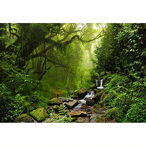 YongFoto 2,5x1,8m Vinyl Foto Hintergrund Tropischer Dschungelwald Fluss Kristallklares Wasser Moosige Steine Fotografie Hintergrund für Photo Booth Party Fotostudio Requisiten YongFoto 2,5x1,8m Vinyl Foto Hintergrund Tropischer Dschungelwald Fluss Kristallklares Wasser Moosige Steine Fotografie Hintergrund für Photo Booth Party Fotostudio Requisiten von YONGFOTO