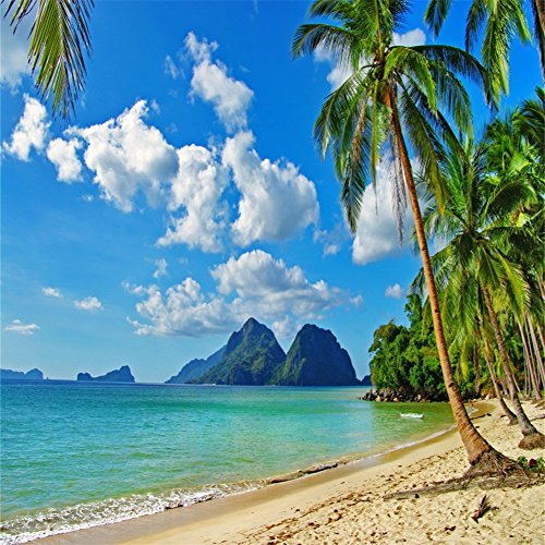 YongFoto 2,5x2,5m Vinyl Foto Hintergrund Strand Meer Küste Landschaft Blauer Himmel Weiße Wolken Palme BergFotografie Hintergrund für Fotos Fotoshooting Baby Party Banner Kinder Fotostudio Requisiten YongFoto 2,5x2,5m Vinyl Foto Hintergrund Strand Meer Küste Landschaft Blauer Himmel Weiße Wolken Palme BergFotografie Hintergrund für Fotos Fotoshooting Baby Party Banner Kinder Fotostudio Requisiten von YONGFOTO