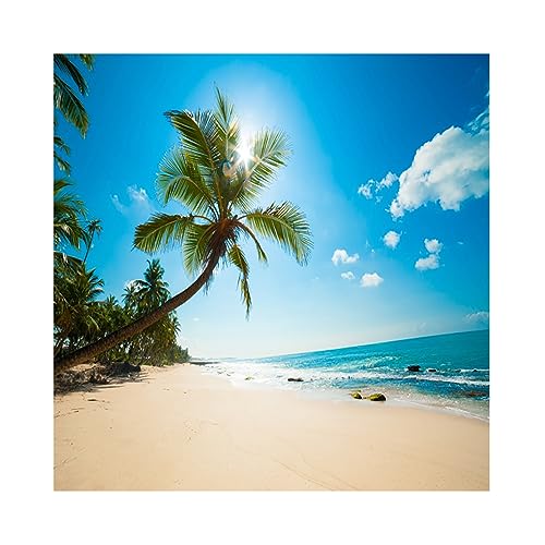 YongFoto 2,5x2,5m Vinyl Foto Hintergrund Strand Meer Küste Landschaft Blauer Himmel Weiße Wolken Palme Fotografie Hintergrund für Fotos Fotoshooting Baby Party Banner Kinder Fotostudio Requisiten von YONGFOTO