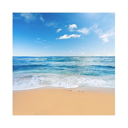 YongFoto 2,5x2,5m Vinyl Foto Hintergrund Strand Meer Küste Landschaft Blauer Himmel Weiße WolkenFotografie Hintergrund für Fotos Fotoshooting Baby Party Banner Kinder Fotostudio Requisiten von YONGFOTO