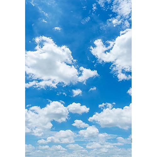 YongFoto 2x3m Vinyl Foto Hintergrund Blauer Himmel Weiße Wolken Sonniger Tag Fotografie Hintergrund Backdrop Fotostudio Hintergründe Requisiten von YONGFOTO