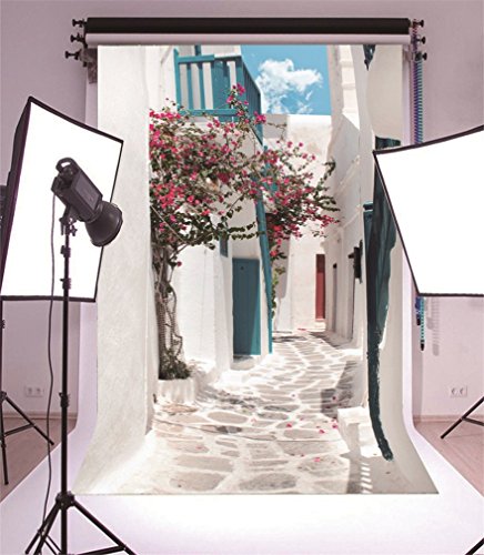 YongFoto 2x3m Vinyl Foto Hintergrund Traditionelle Griechische Gasse auf Mykonos Insel Griechenland Fotografie Hintergrund für Fotoshooting Portraitfotos Party Kinder Hochzeit Fotostudio Requisiten von YONGFOTO