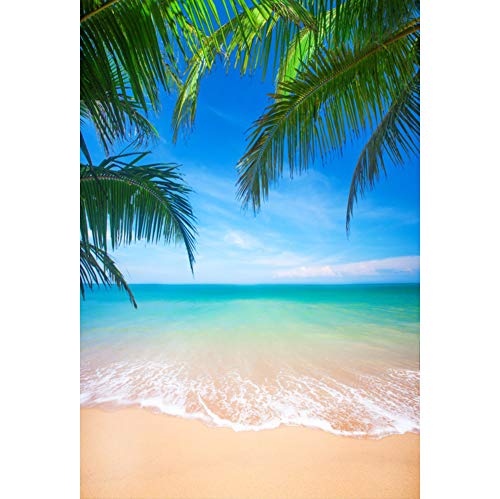 YongFoto 2x3m Vinyl Foto Hintergrund Tropischer Strand Blauer Himmel Grünes Meer Kokosnuss Palmblätter Fotografie Hintergrund Partydekoration Video Fotostudio Hintergründe Fotoshooting von YONGFOTO