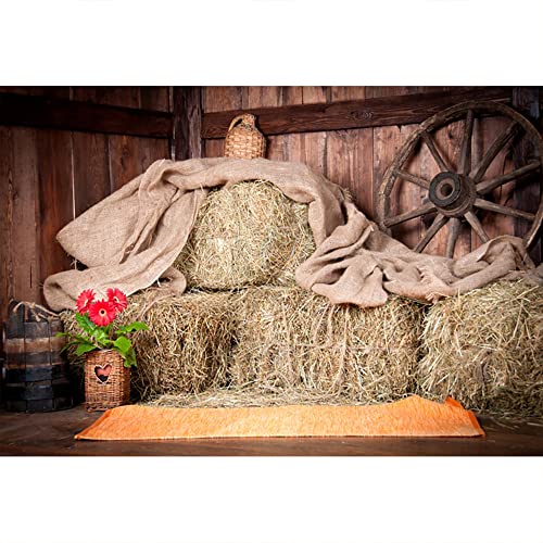 YongFoto 3x2,5m Vinyl Foto Hintergrund Alte Scheune Mit Strohballen Bauernhof Landschaft Fotografie Hintergrund für Fotoshooting Portraitfotos Party Kinder Hochzeit Fotostudio Requisiten YongFoto 3x2,5m Vinyl Foto Hintergrund Alte Scheune Mit Strohballen Bauernhof Landschaft Fotografie Hintergrund für Fotoshooting Portraitfotos Party Kinder Hochzeit Fotostudio Requisiten von YONGFOTO
