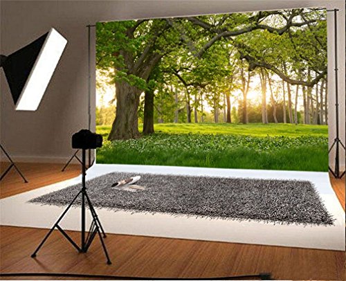 YongFoto 3x2m Vinyl Foto Hintergrund Natur Landschaft Waldgrünes Gras Feld Blumen Fotografie Hintergrund für Fotoshooting Portraitfotos Party Kinder Hochzeit Fotostudio Requisiten von YONGFOTO