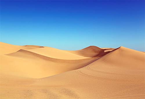 YongFoto 3x2m Vinyl Foto Hintergrund Sanddünen in der Sahara Wüste Fotografie Hintergrund Backdrop Fotostudio Hintergründe Requisiten von YONGFOTO