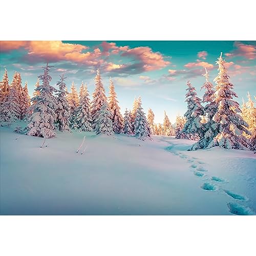 YongFoto 3x2m Vinyl Foto Hintergrund Winterlandschaft mit Spuren Schnee bedeckte Tannen Weihnachten Fotografie Hintergrund für Fotoshooting Fotostudio Requisiten von YONGFOTO