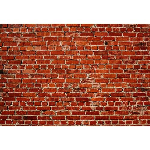 YongFoto 3x2m Vinyl Foto Hintergrund Ziegel Braun Backstein Mauer Textur Fotografie Hintergrund f黵 Fotoshooting Portraitfotos Fotografen Kinder Fotostudio Requisiten YongFoto 3x2m Vinyl Foto Hintergrund Ziegel Braun Backstein Mauer Textur Fotografie Hintergrund f黵 Fotoshooting Portraitfotos Fotografen Kinder Fotostudio Requisiten von YONGFOTO