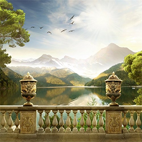 YongFoto 3x3m Vinyl Foto Hintergrund Berglandschaft See Vogel Natur Fotografie Hintergrund f黵 Hochzeit Fotoshooting Portraitfotos Fotostudio Requisiten YongFoto 3x3m Vinyl Foto Hintergrund Berglandschaft See Vogel Natur Fotografie Hintergrund f黵 Hochzeit Fotoshooting Portraitfotos Fotostudio Requisiten von YONGFOTO