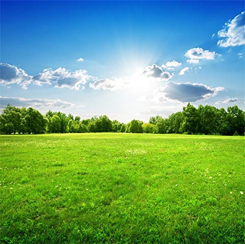 YongFoto 3x3m Vinyl Foto Hintergrund Wiese des gr黱en Grases B鋟me Sommerfr黨lingslandschaft Fotografie Hintergrund Backdrop Fotostudio Hintergr黱de Requisiten von YONGFOTO