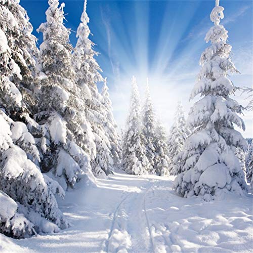 YongFoto 3x3m Vinyl Foto Hintergrund Winterlandschaft Schnee bedeckte Tannen Weihnachten Fotografie Hintergrund f黵 Fotoshooting Fotostudio Requisiten von YONGFOTO