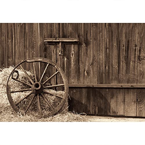 YongFoto 4,5x3m Vinyl Foto Hintergrund Barn Straw Hay Bale Oldtimer Räder Grunge Holz Plank Ric Autumn Interior Fotografie Hintergrund für Fotoshooting Portraitfotos Party Kinder Fotostudio Requisiten YongFoto 4,5x3m Vinyl Foto Hintergrund Barn Straw Hay Bale Oldtimer Räder Grunge Holz Plank Ric Autumn Interior Fotografie Hintergrund für Fotoshooting Portraitfotos Party Kinder Fotostudio Requisiten von YONGFOTO