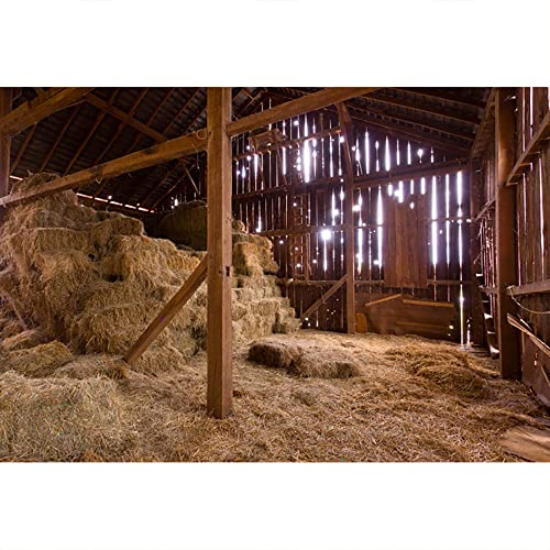 YongFoto 4,5x3m Vinyl Foto Hintergrund Weinlese altes hölzernes Scheunen Stroh Hayloft Innen Fotografie Hintergrund für Fotoshooting Portraitfotos Party Kinder Fotostudio Requisiten YongFoto 4,5x3m Vinyl Foto Hintergrund Weinlese altes hölzernes Scheunen Stroh Hayloft Innen Fotografie Hintergrund für Fotoshooting Portraitfotos Party Kinder Fotostudio Requisiten von YONGFOTO