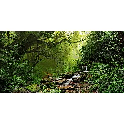 YongFoto 4x2m Vinyl Foto Hintergrund Tropischer Dschungelwald Fluss Kristallklares Wasser Moosige Steine Fotografie Hintergrund für Photo Booth Party Fotostudio Requisiten YongFoto 4x2m Vinyl Foto Hintergrund Tropischer Dschungelwald Fluss Kristallklares Wasser Moosige Steine Fotografie Hintergrund für Photo Booth Party Fotostudio Requisiten von YONGFOTO